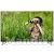 Panasonic Viera (TX-40 DXW 734)