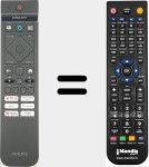 Comandament a dist&agrave;ncia substitut de 398GM10BEPHNE100CR (996592500092)