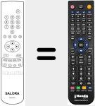 Comandament a dist&agrave;ncia substitut de RCN 621