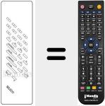 Comandament a dist&agrave;ncia substitut de REMCON166