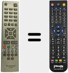 Comandament a dist&agrave;ncia substitut de CT2838 (20403847)