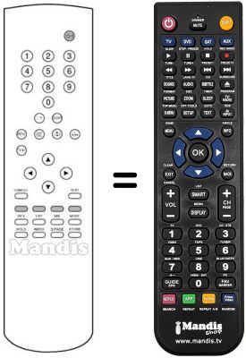 Comandament a distància equivalent REMCON1176 Comandament a distància equivalent REMCON1176